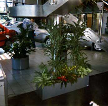 showroom plants